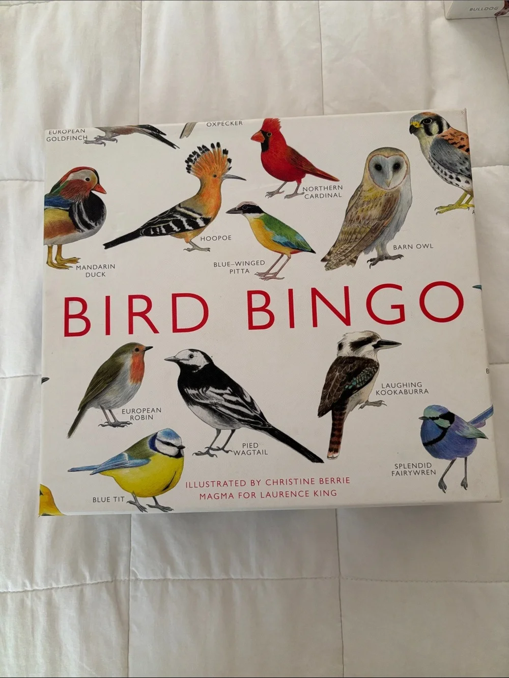 Anthropologie Bird Bingo Game - Illustrated Bird Matching Game (White & Red)